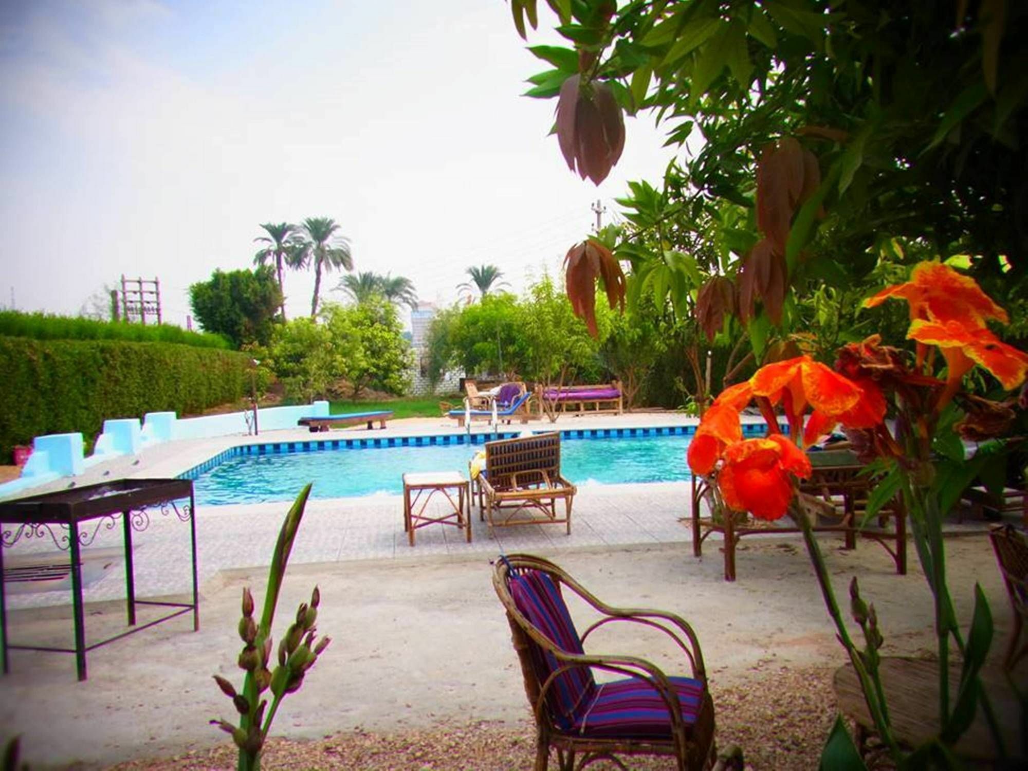 Nile Compound Hotel Luxor Luaran gambar
